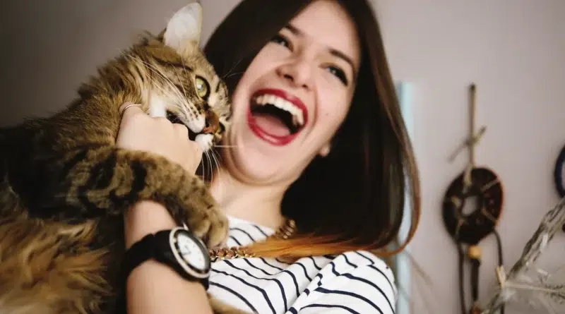 journée du bien-être avec animaux