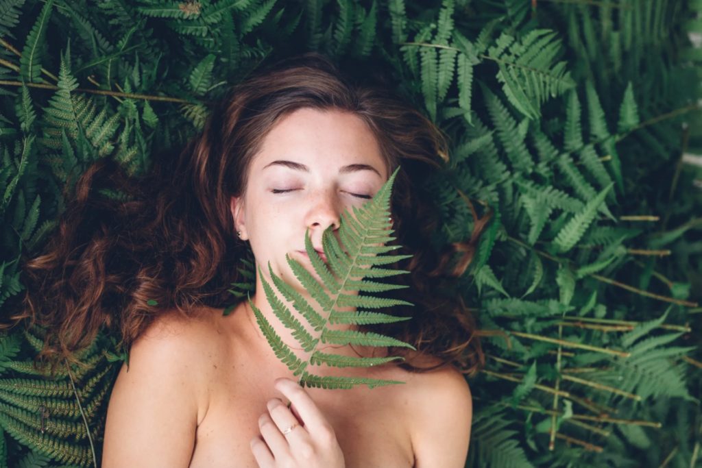 plantes sauvages bonnes pour les poumons