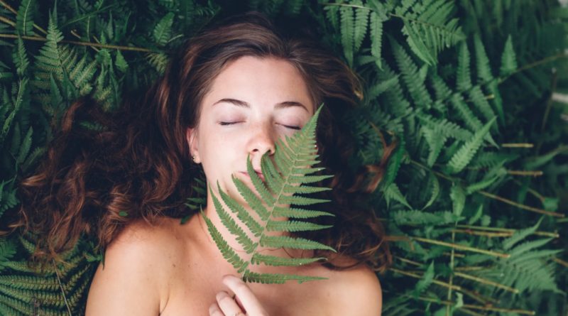plantes sauvages bonnes pour les poumons
