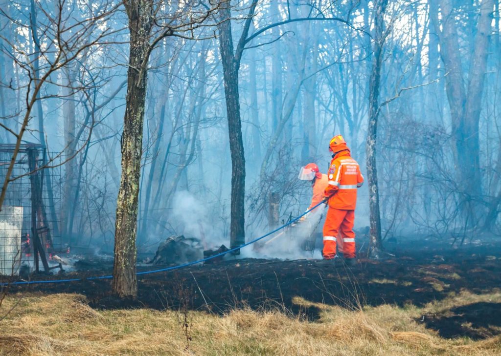 fumée de feu de forêt