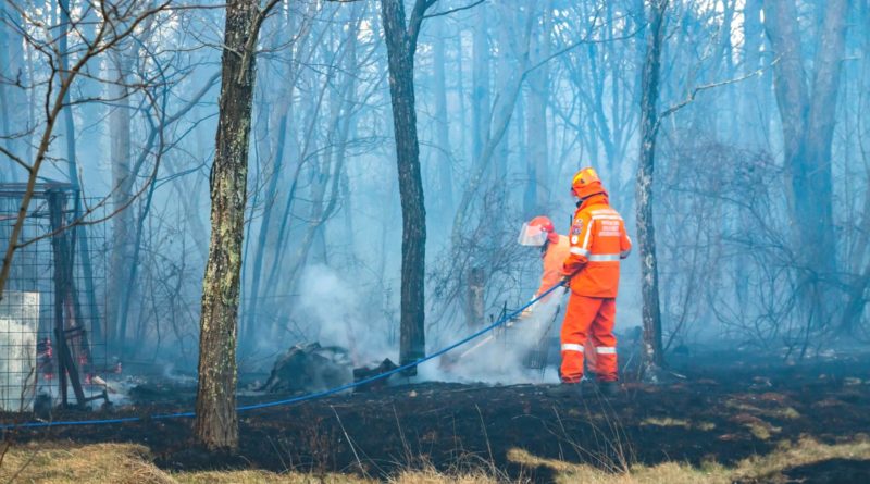 fumée de feu de forêt