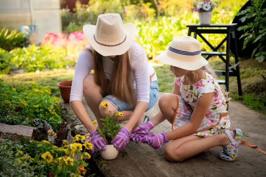 jardin moustiques